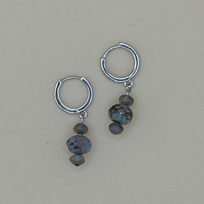 Dangles Earrings